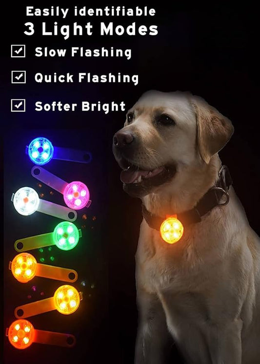 Luz led para collar de perros y gatos
