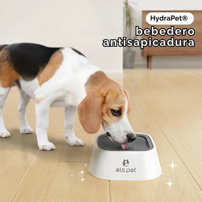 HydraPet® | bebedero antisapicaduras para mascotas