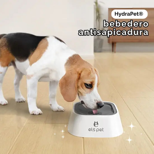 HydraPet® | bebedero antisapicaduras para mascotas