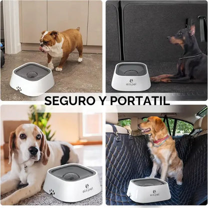 HydraPet® | bebedero antisapicaduras para mascotas